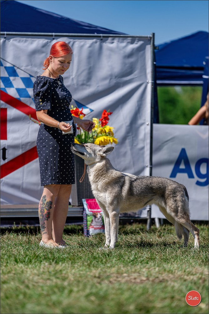 Dog Show - Hallbergmoos 🇩🇪 11-12/07/2026