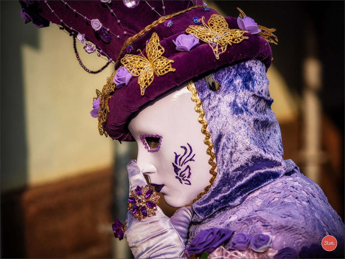 Carnaval vénitien de Rosheim 2026. Photographe à Strasbourg | Portraits, Studio, Enfants, Événements