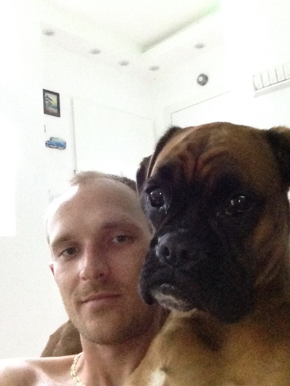 My ״Star״ Boxer Dog