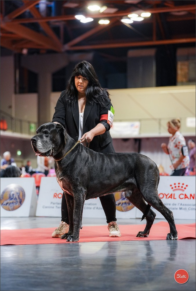 Expo canine 🇫🇷 Martigues 18-19/04/2026