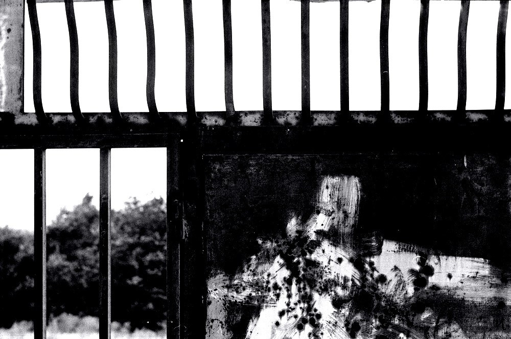 Personal Photography. Arman Milani, Brand-Focused Video Production & Content Creation, Based in Berlin