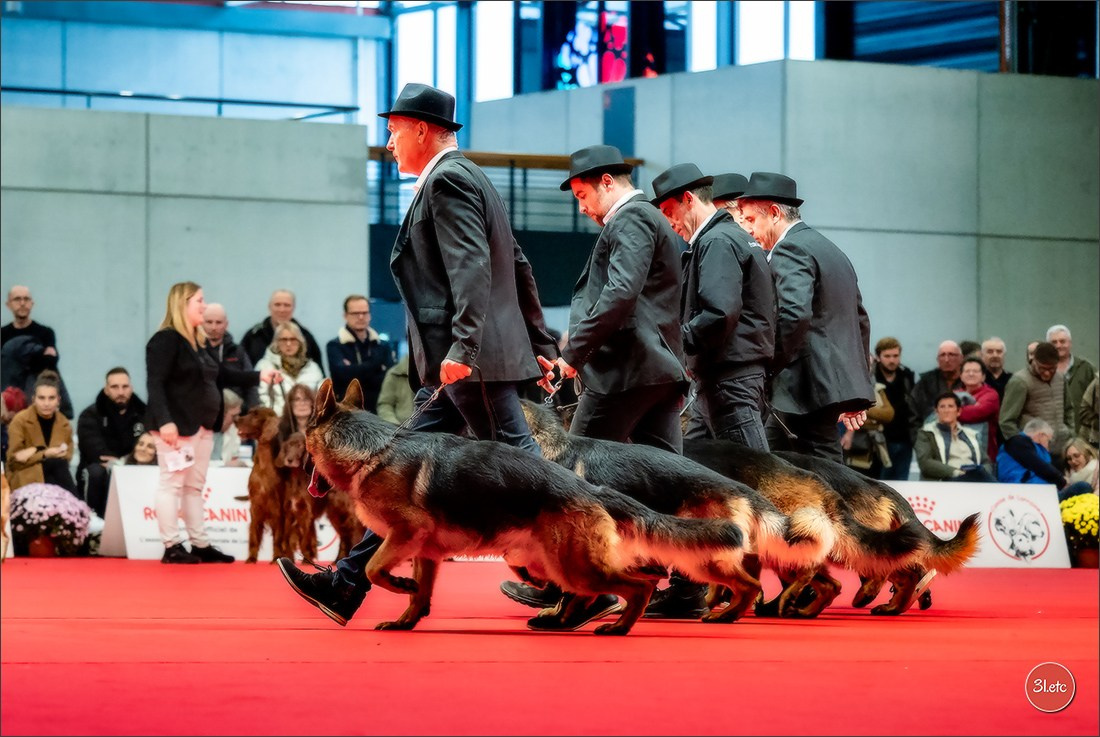 Photographie animalière. Photographe à Strasbourg | Portraits, Studio, Enfants, Événements