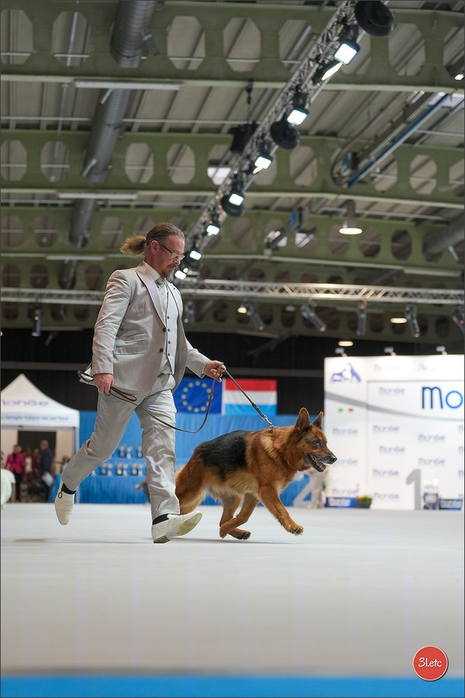 🇱🇺 LUXEMBOURG 🇱🇺 International Dog Show 4-5/04/2026. Photographe à Strasbourg | Portraits, Studio, Enfants, Événements