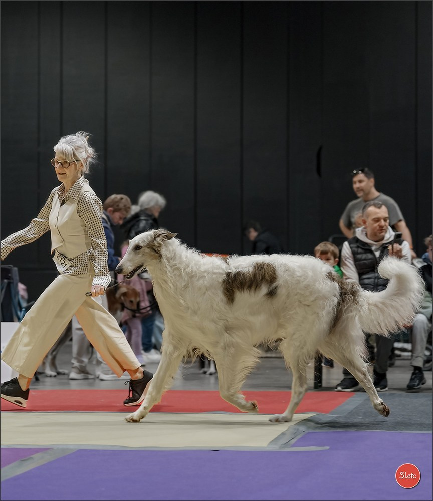 🇱🇺 LUXEMBOURG 🇱🇺 International Dog Show 4-5/04/2026. Photographe à Strasbourg | Portraits, Studio, Enfants, Événements