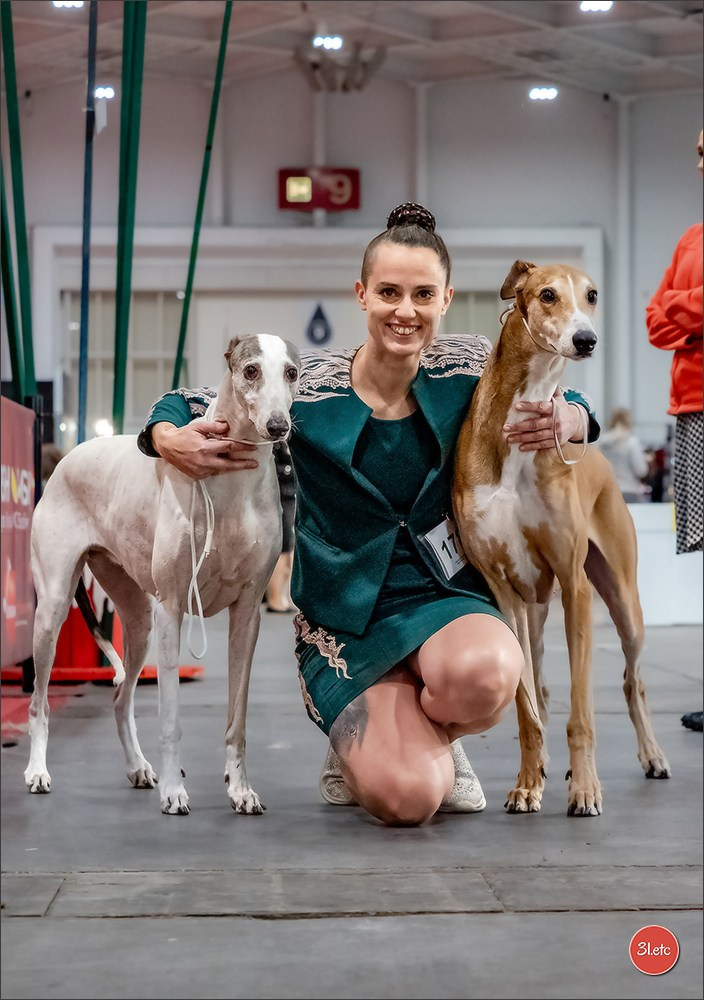 Photographie animalière. Photographe à Strasbourg | Portraits, Studio, Enfants, Événements