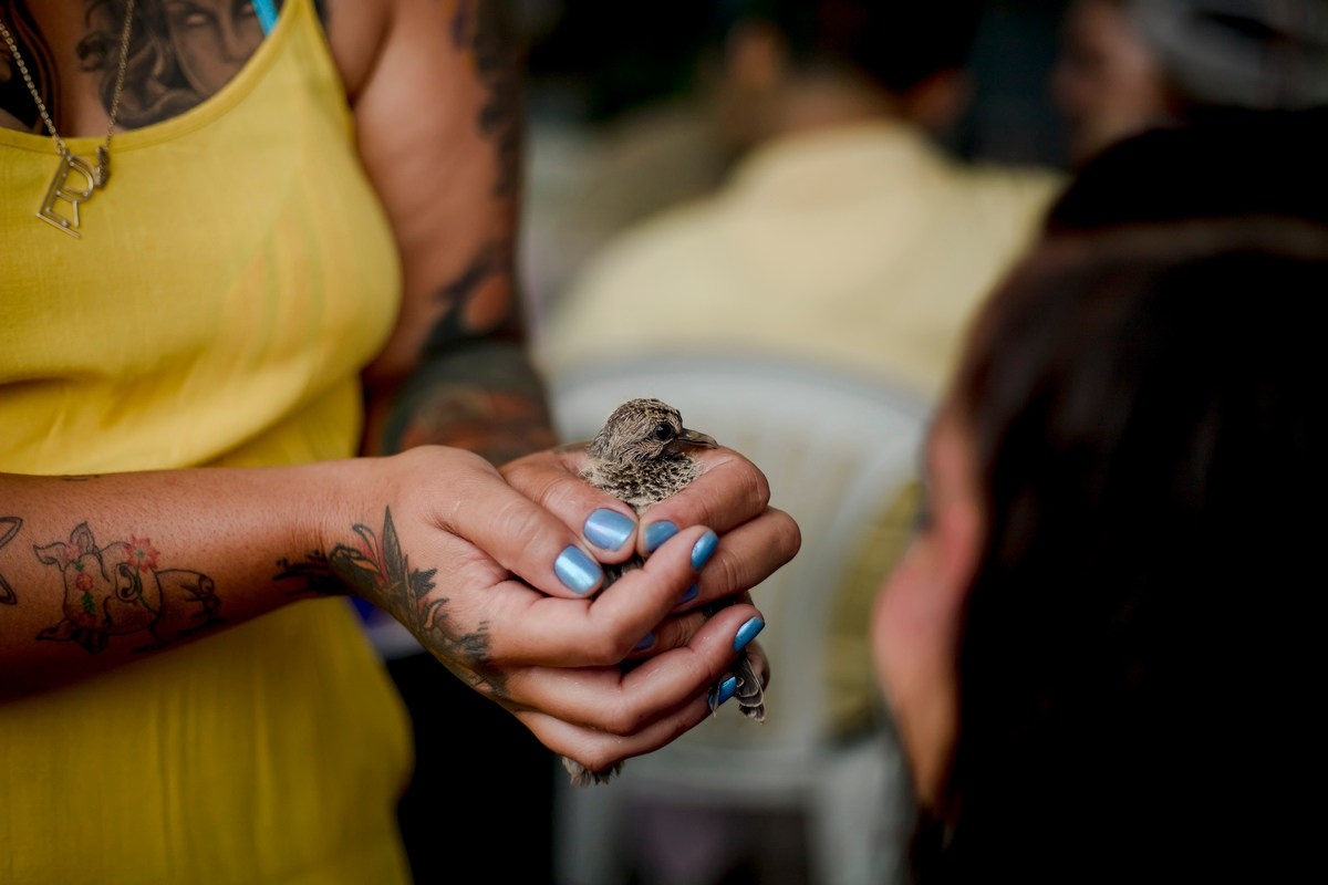 Izzie - 6º aniversário. Fotógrafa de Eventos em São Paulo e Sorocaba Kika Damasceno