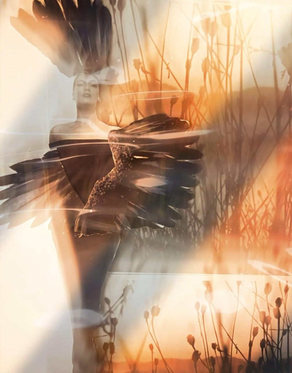 Collages. Jelena Toome freelance photographer from Glasgow