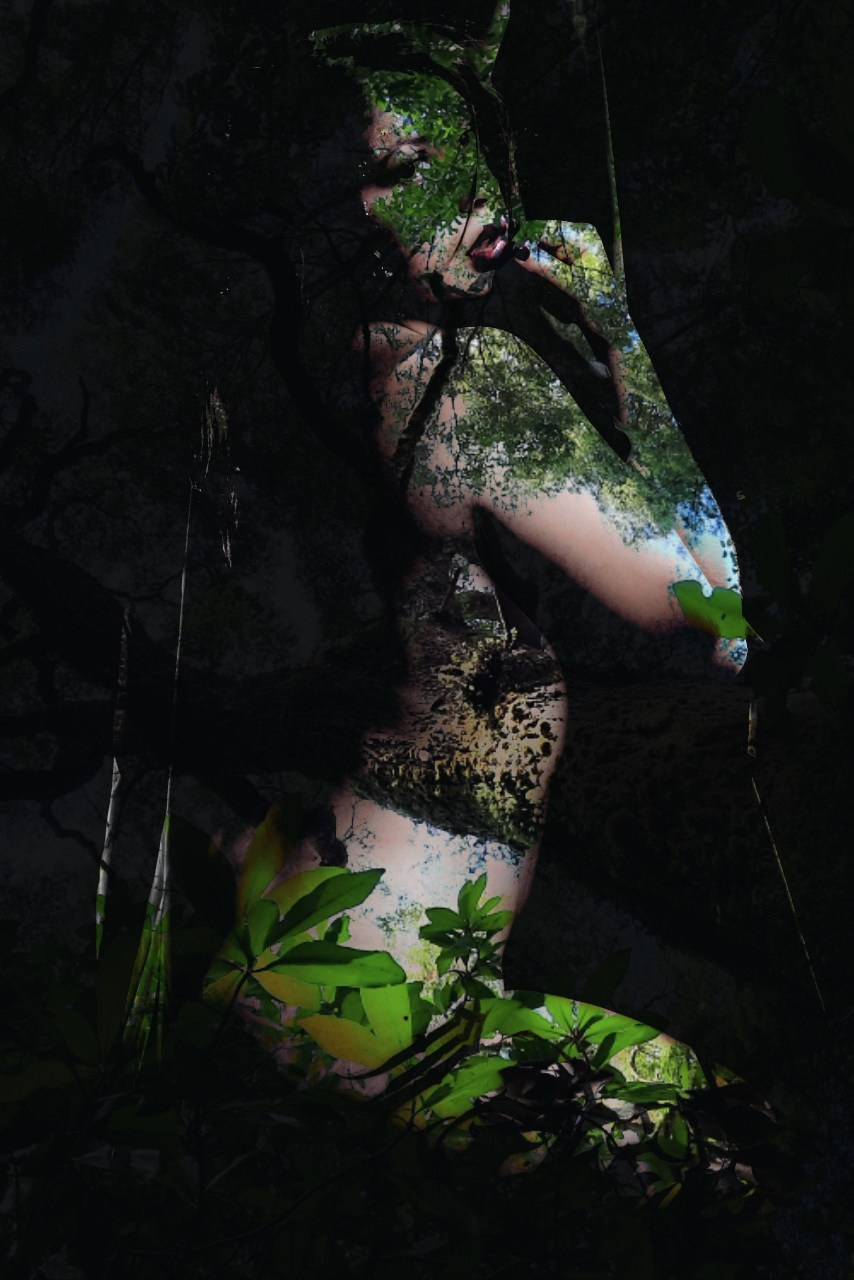 Experimental. Www.jomcstudio.com