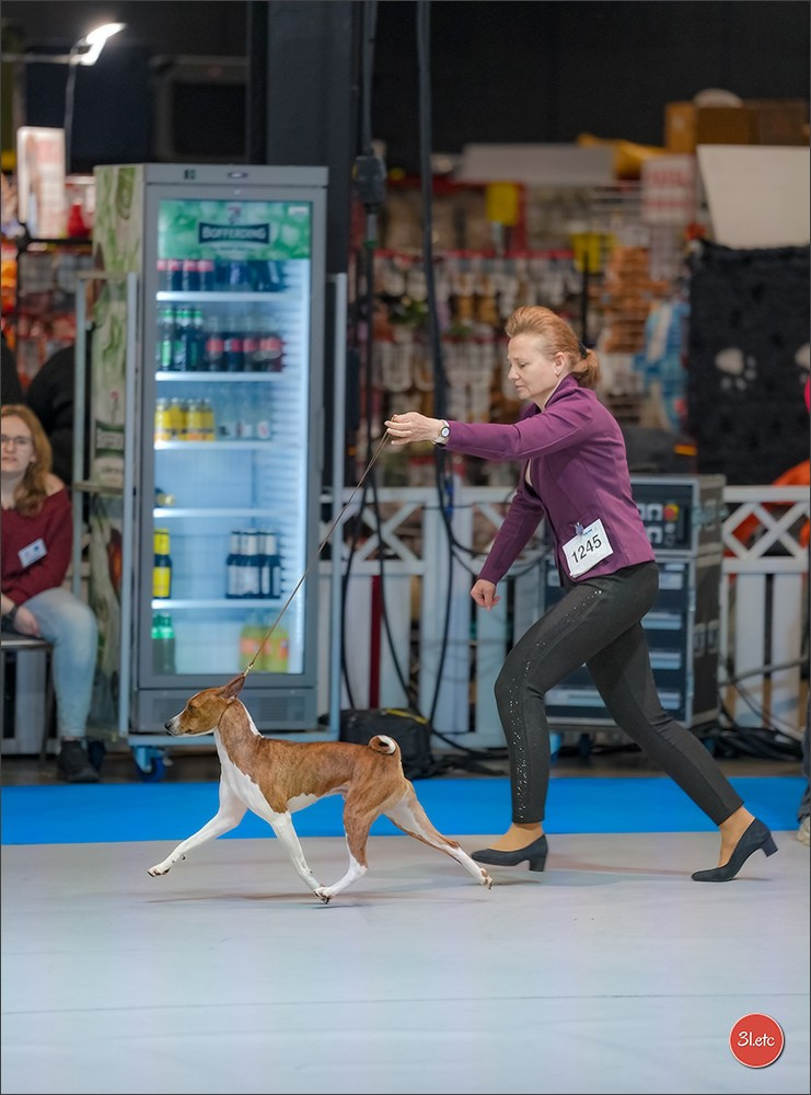 🇱🇺 LUXEMBOURG 🇱🇺 International Dog Show 4-5/04/2026. Photographe à Strasbourg | Portraits, Studio, Enfants, Événements