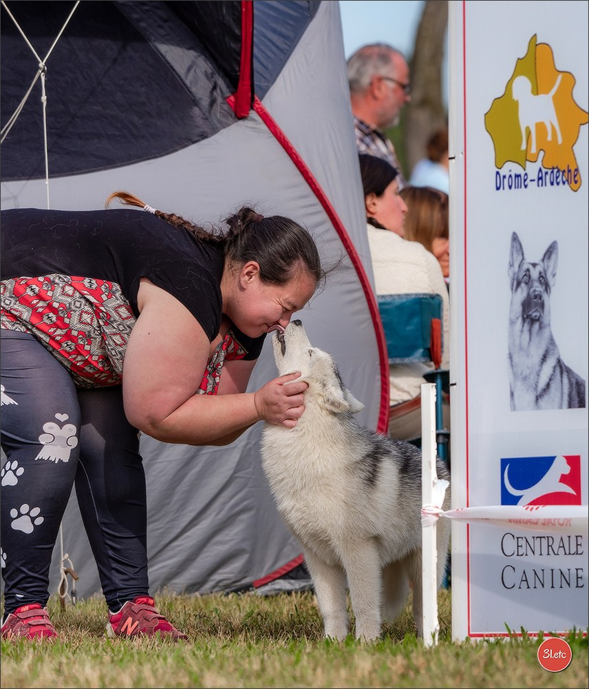 Expo canine 🇫🇷 Valence 03-04/05/2025. Photographe à Strasbourg | Portraits, Studio, Enfants, Événements