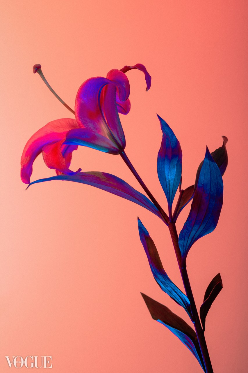 HYU x VOGUE. FINE ART PHOTOGRAPHY