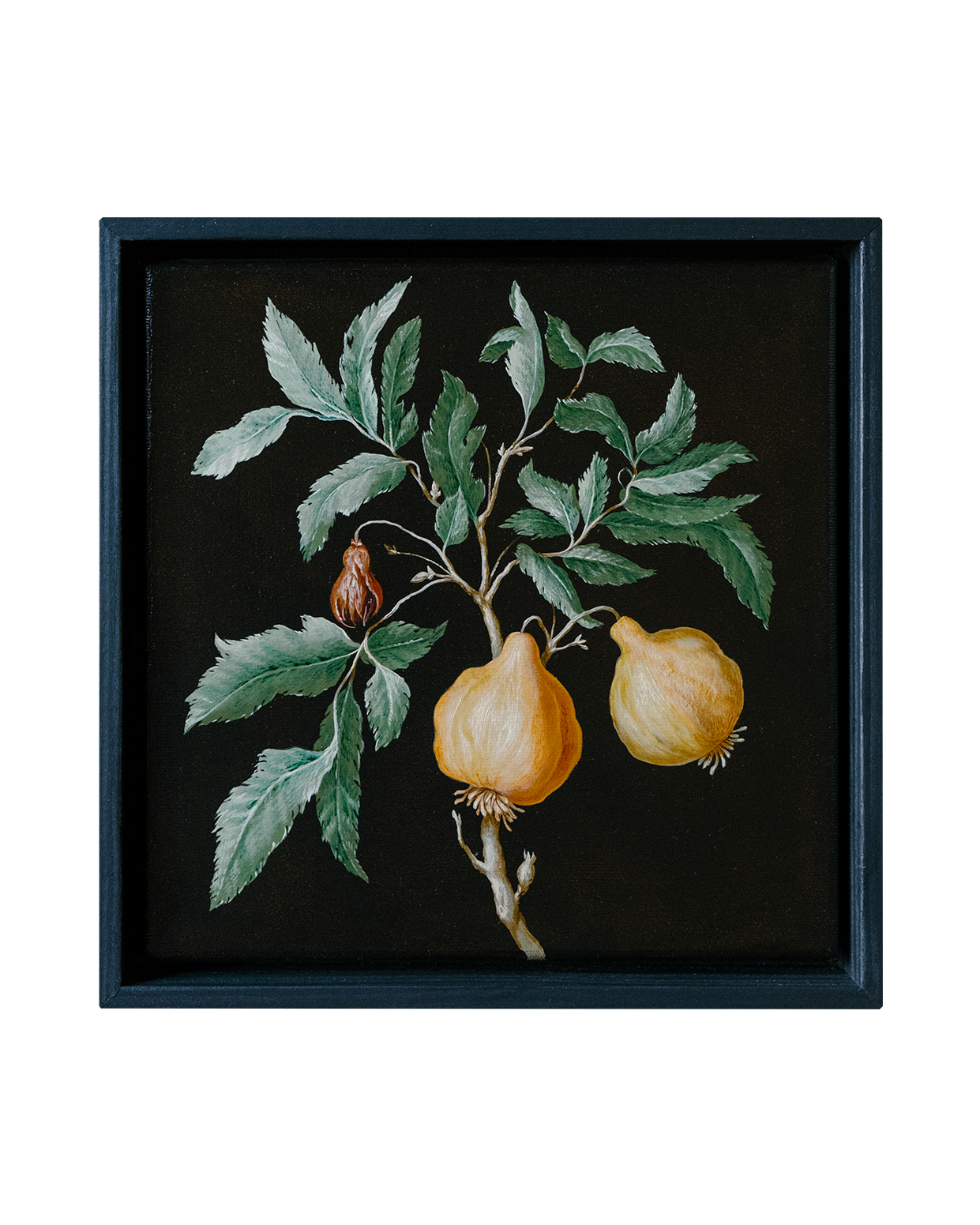 Botanical Etude No. 7. ELEN BEZHEN