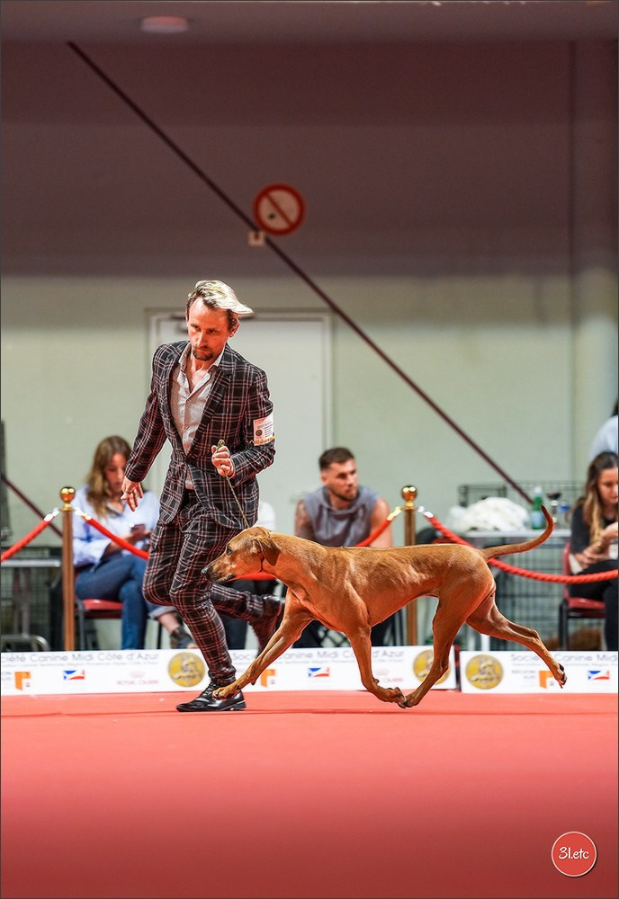 Expo canine 🇫🇷 Martigues 18-19/04/2026