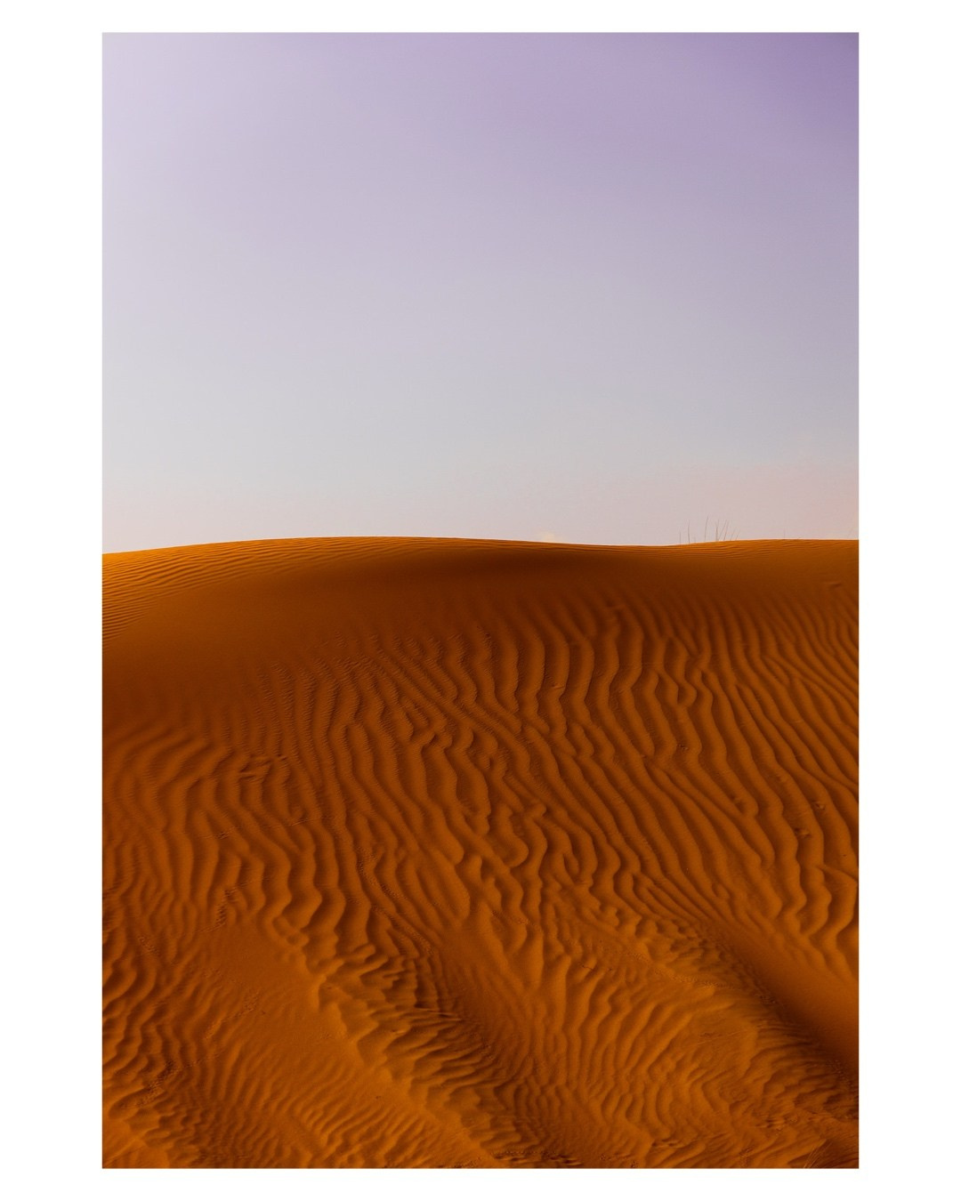 Art prints. Anka Fateeva Website