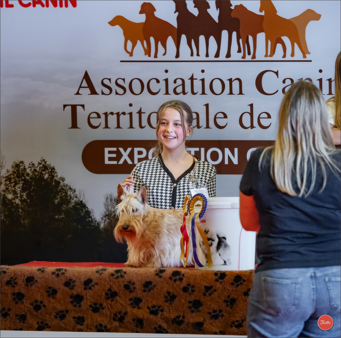 Expo canine 🇫🇷 MARGNY LES COMPIEGNE 06-07/09/2025. Photographe à Strasbourg | Portraits, Studio, Enfants, Événements