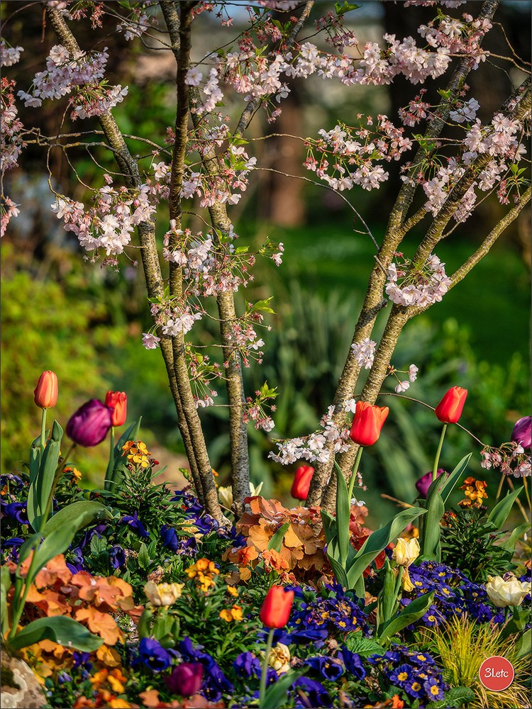 Angers  🇫🇷. Photographe à Strasbourg | Portraits, Studio, Enfants, Événements