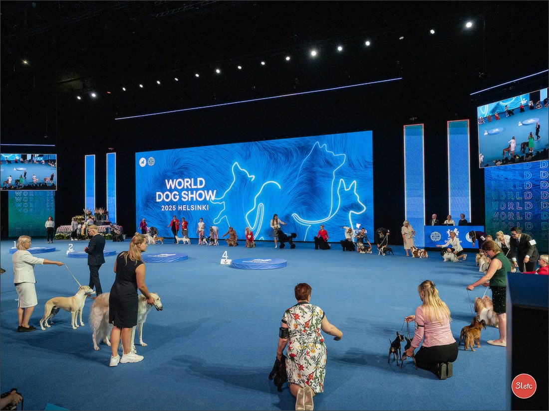 🇫🇮 WDS Helsinki 2025 🇫🇮. Photographe à Strasbourg | Portraits, Studio, Enfants, Événements