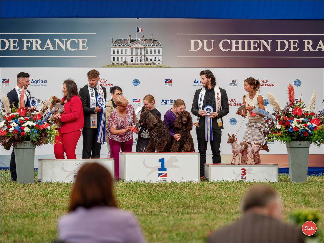 Championnat de France du chien de race  🇫🇷  DIJON (château de Brognon) 7-8/06/2025. Photographe à Strasbourg | Portraits, Studio, Enfants, Événements