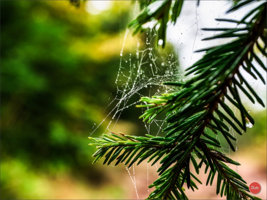 Ретрит в Эльзасе с Марией Ланг. Photographe à Strasbourg | Portraits, Studio, Enfants, Événements