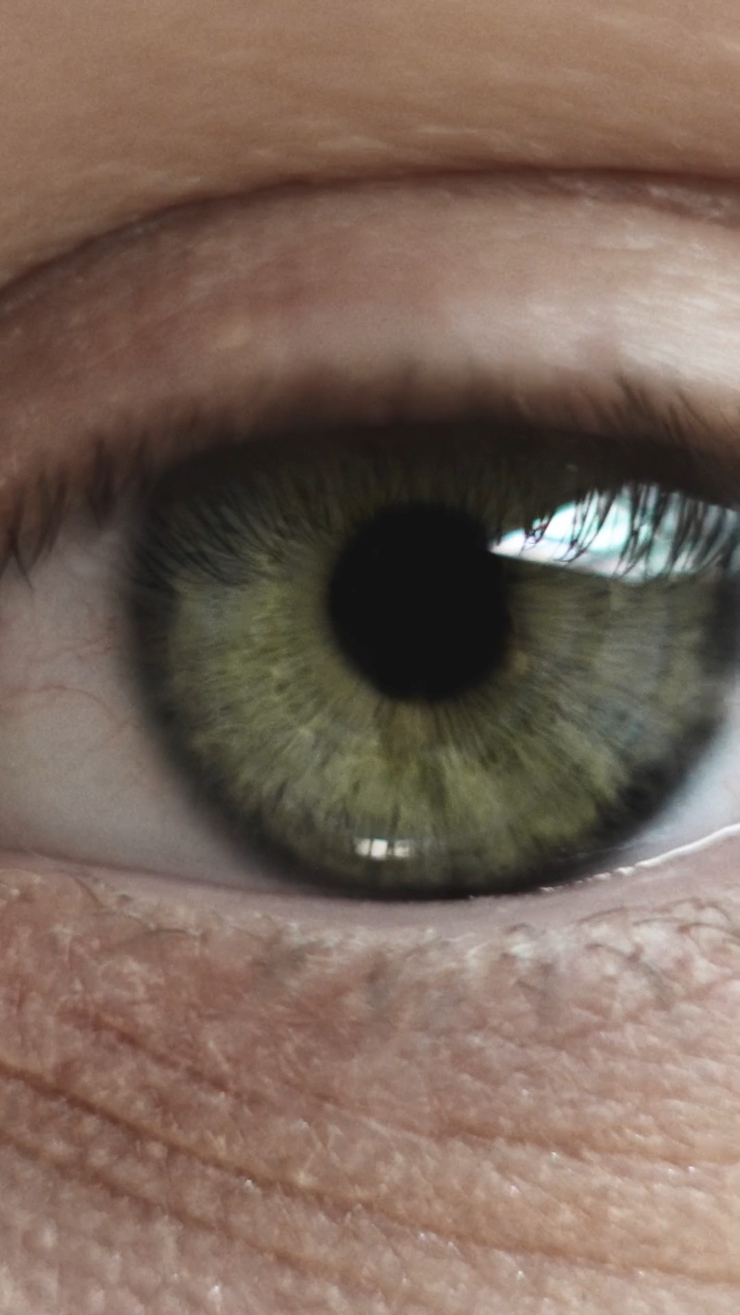 An extreme close-up of a green eye, highlighting intricate details of the iris, eyelashes, and subtle skin texture around the eye.
