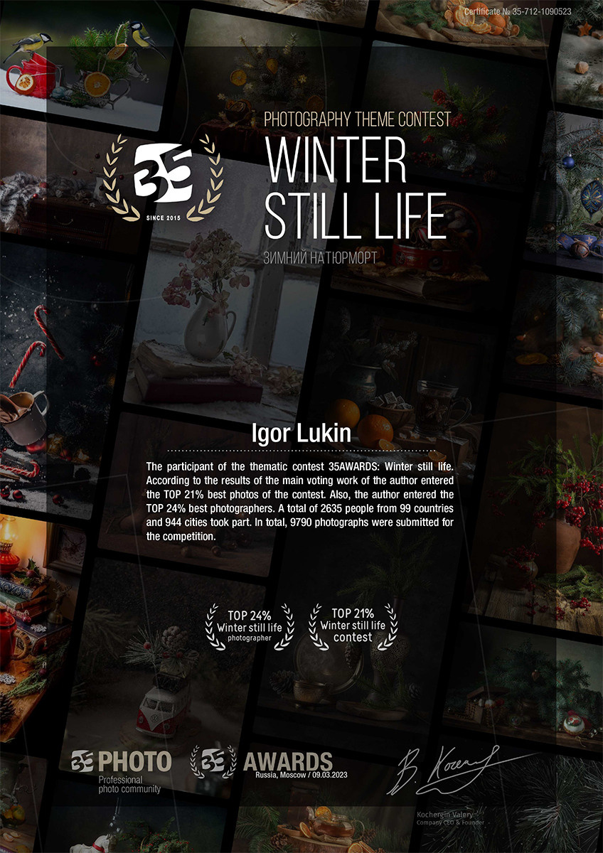 35 AWARDS ЗИМНИЙ НАТЮРМОРТ. LUKIN IGOR Photography