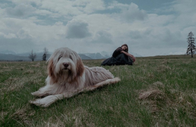 Roksana. Tatry. Ваш фотограф в Латгалии — Александра Юхневича!