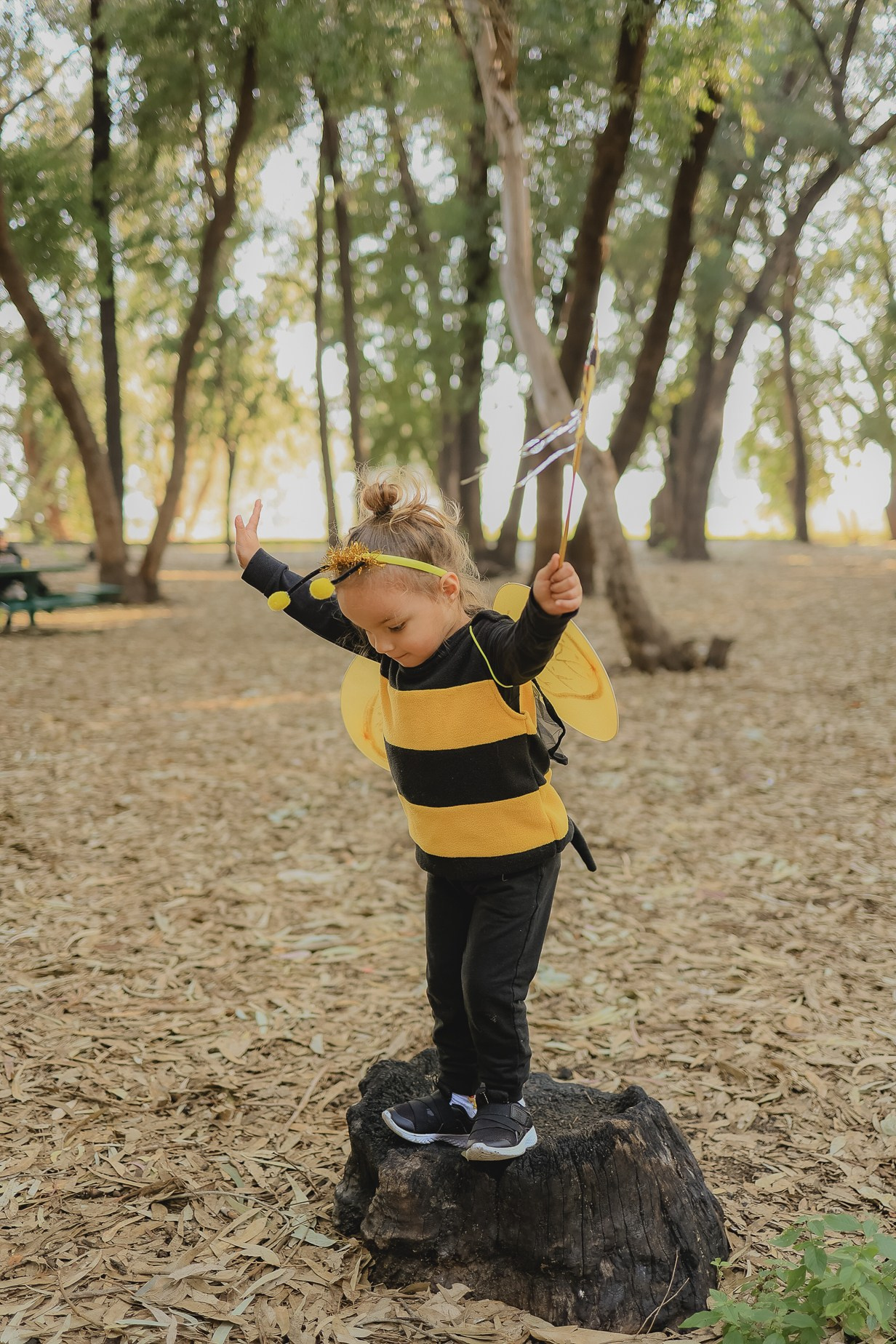 צילומי פורים בטבע. דף בית