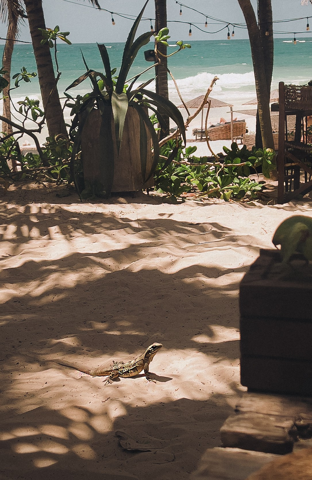 Tulio — Be-Tulum, Mexico. Yana Bobrova | Artistic Photography