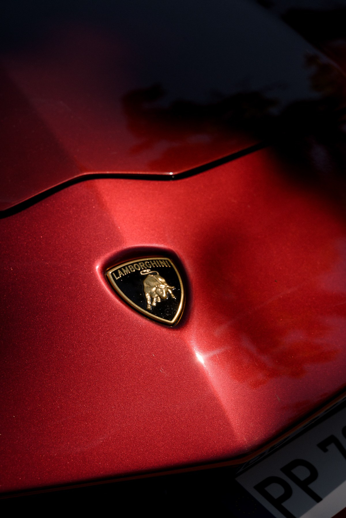 Dominika i Dominik 06.07.2024. Wedding photographer Warsaw and Europe