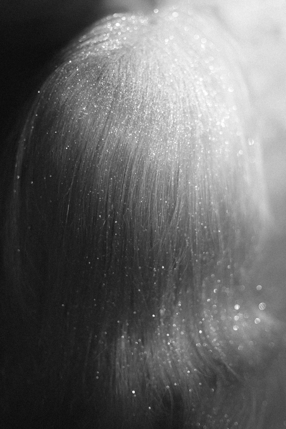 Svetlana (ongoing). Anna Guseva | Visual artist