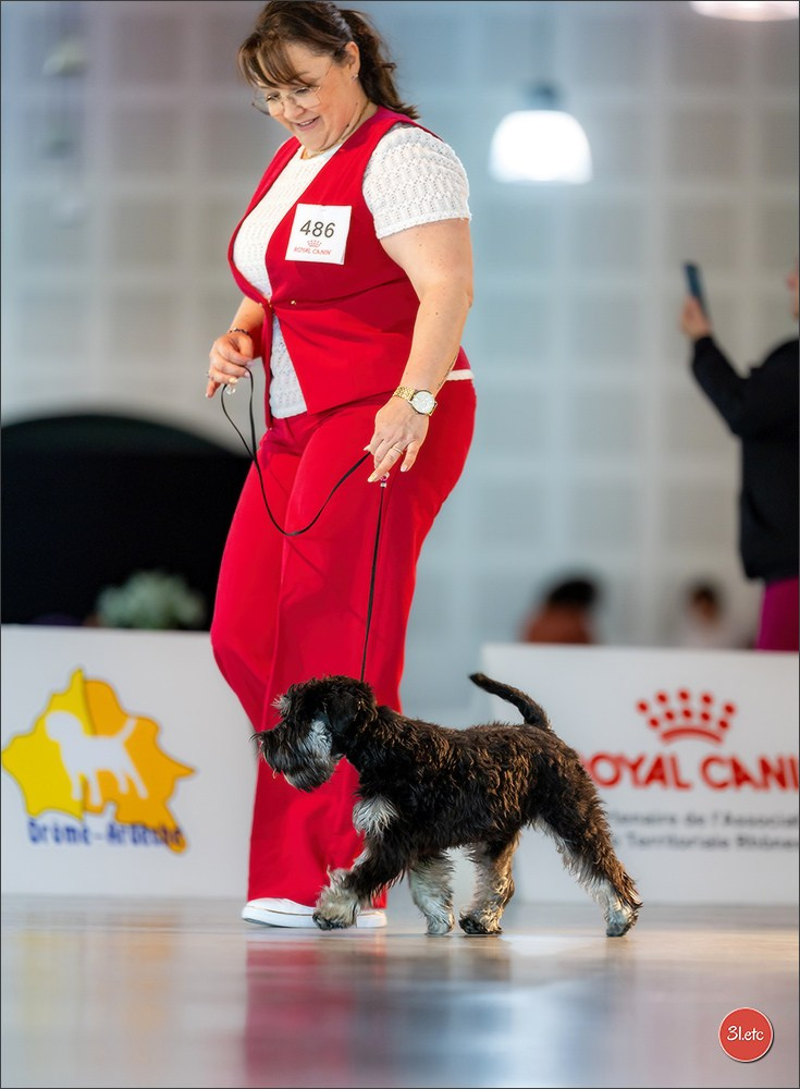 Expo canine 🇫🇷 Valence 02-03/05/2026