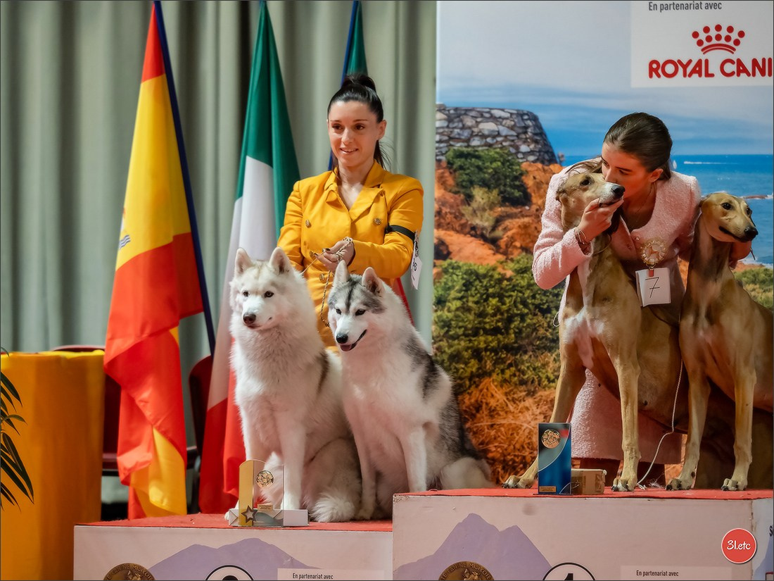 Expo canine 🇫🇷 Martigues  19-20/04/2025. Photographe à Strasbourg | Portraits, Studio, Enfants, Événements
