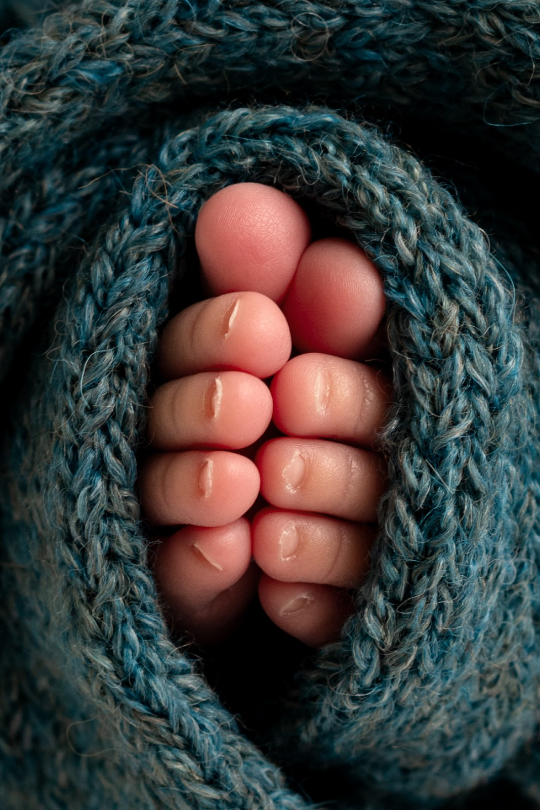 Newborn. Newborn photographer Sacramento
