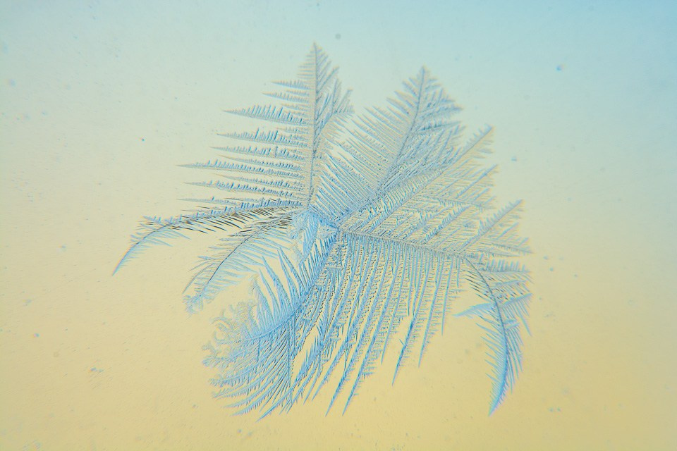 Fotografie Macro~ Close up. Andreea Ivan art-Fotograf Constanta, Fotograf profesionist Constanta, Fotograf de nunta Constanta, botez, sedinte foto cu tematica, portret