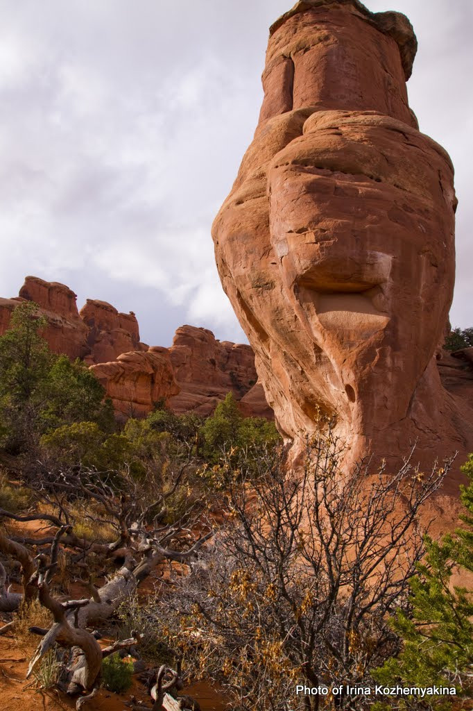 2010-11-21, Arches National Park. Photographer Irina Kozhemyakina. Houston