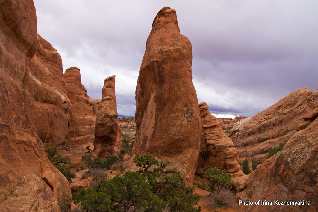 2010-11-21, Arches National Park. Photographer Irina Kozhemyakina. Houston