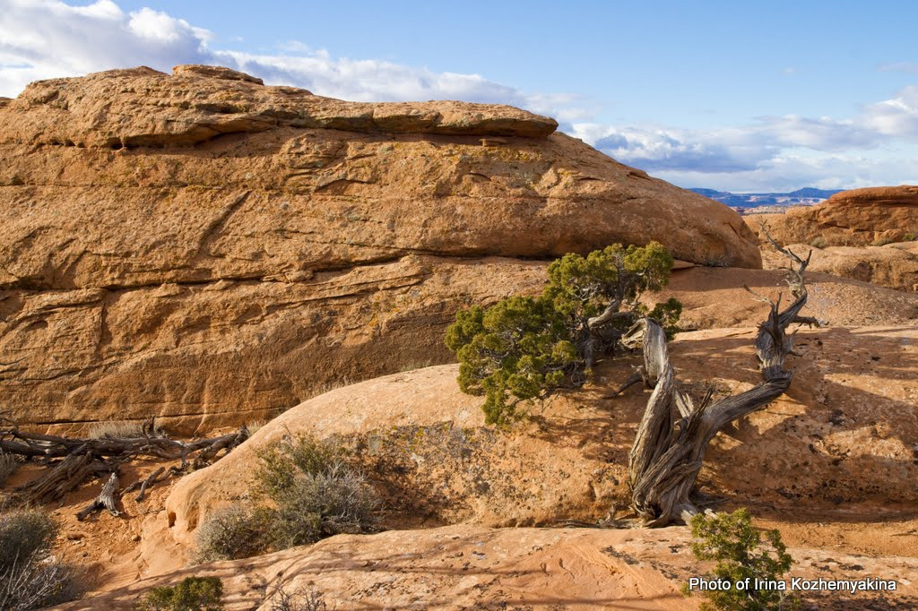 2010-11-21, Arches National Park. Photographer Irina Kozhemyakina. Houston