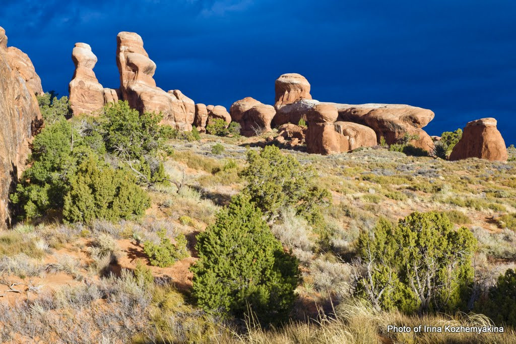 2010-11-21, Arches National Park. Photographer Irina Kozhemyakina. Houston