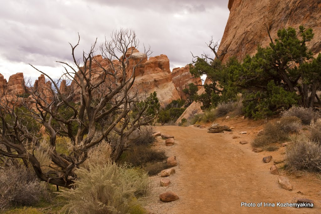 2010-11-21, Arches National Park. Photographer Irina Kozhemyakina. Houston