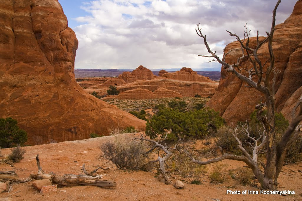 2010-11-21, Arches National Park. Photographer Irina Kozhemyakina. Houston