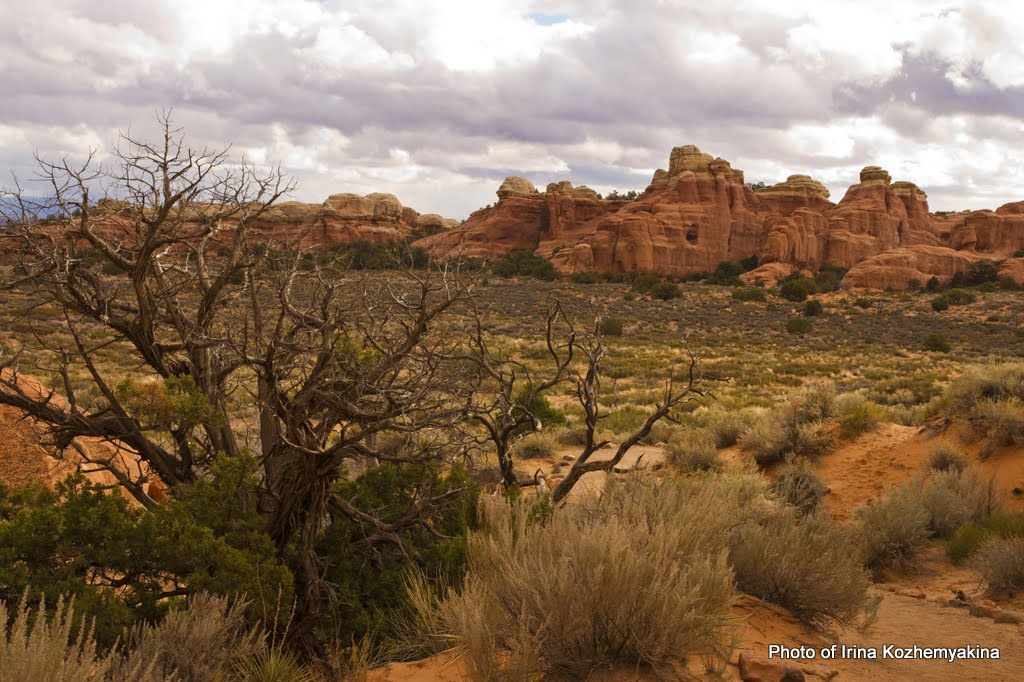 2010-11-21, Arches National Park. Photographer Irina Kozhemyakina. Houston