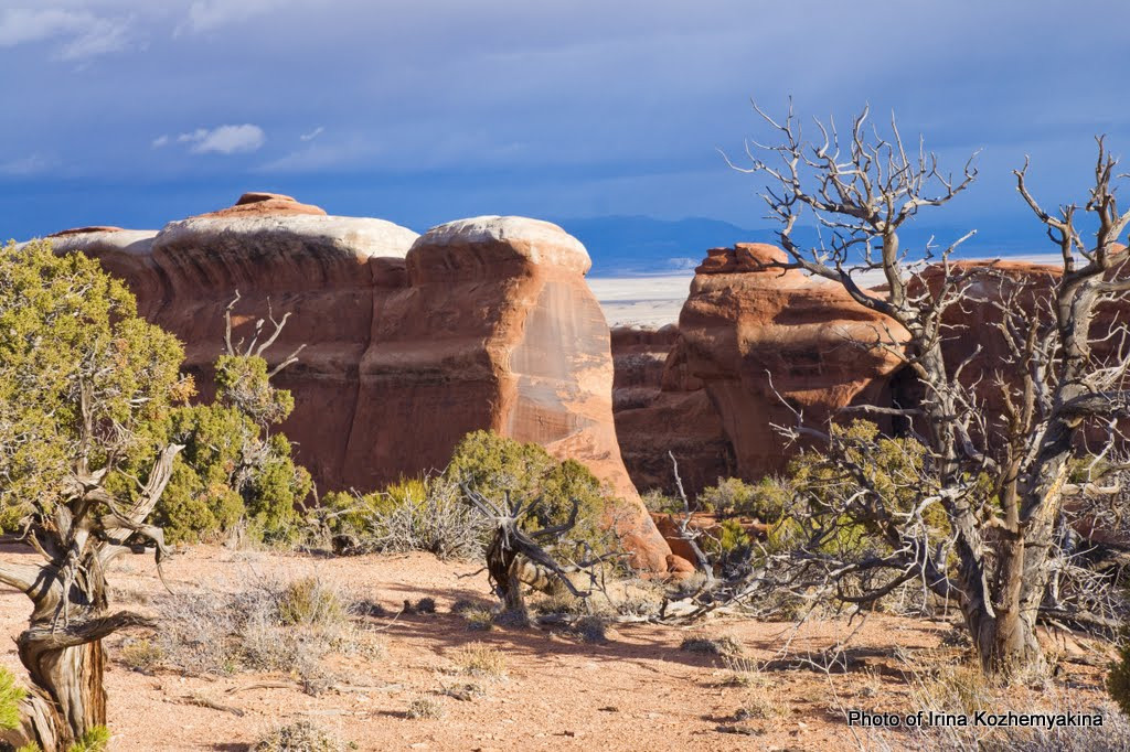 2010-11-21, Arches National Park. Photographer Irina Kozhemyakina. Houston