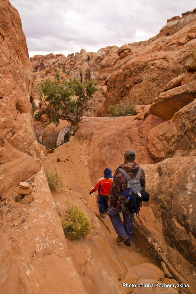 2010-11-21, Arches National Park. Photographer Irina Kozhemyakina. Houston