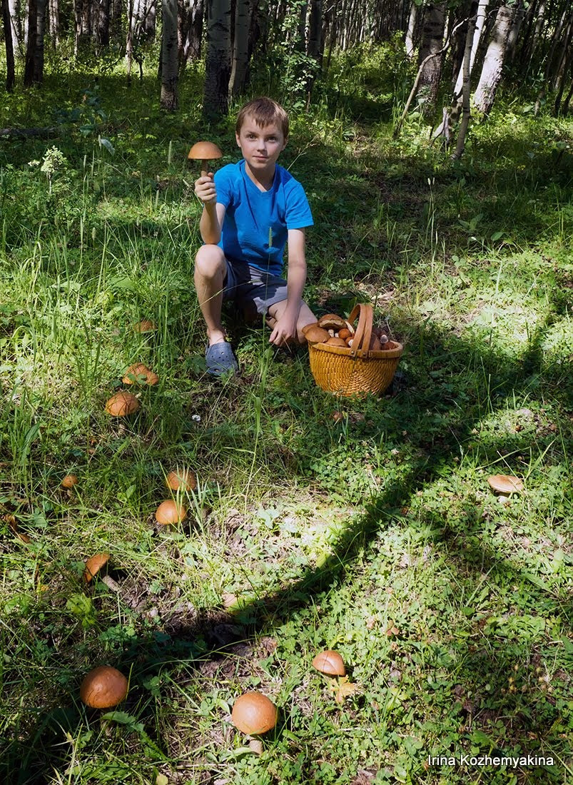 2014-08-10, Mushrooms. Photographer Irina Kozhemyakina. Houston