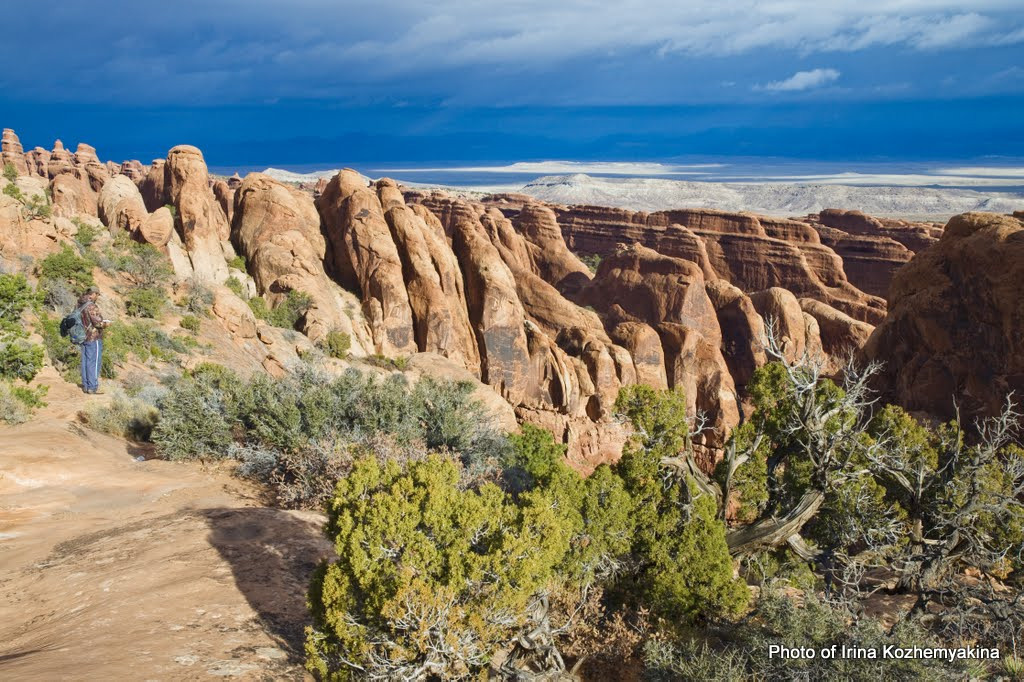 2010-11-21, Arches National Park. Photographer Irina Kozhemyakina. Houston