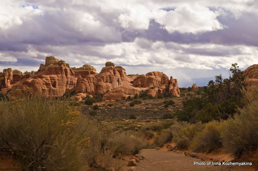 2010-11-21, Arches National Park. Photographer Irina Kozhemyakina. Houston