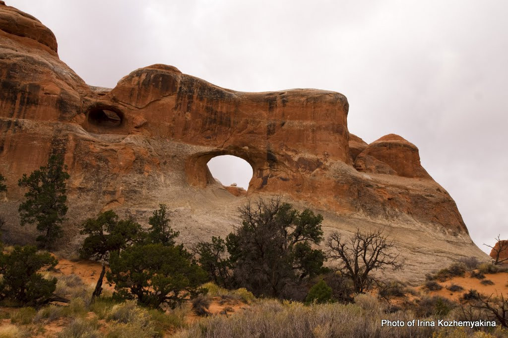 Tunnel Arch
