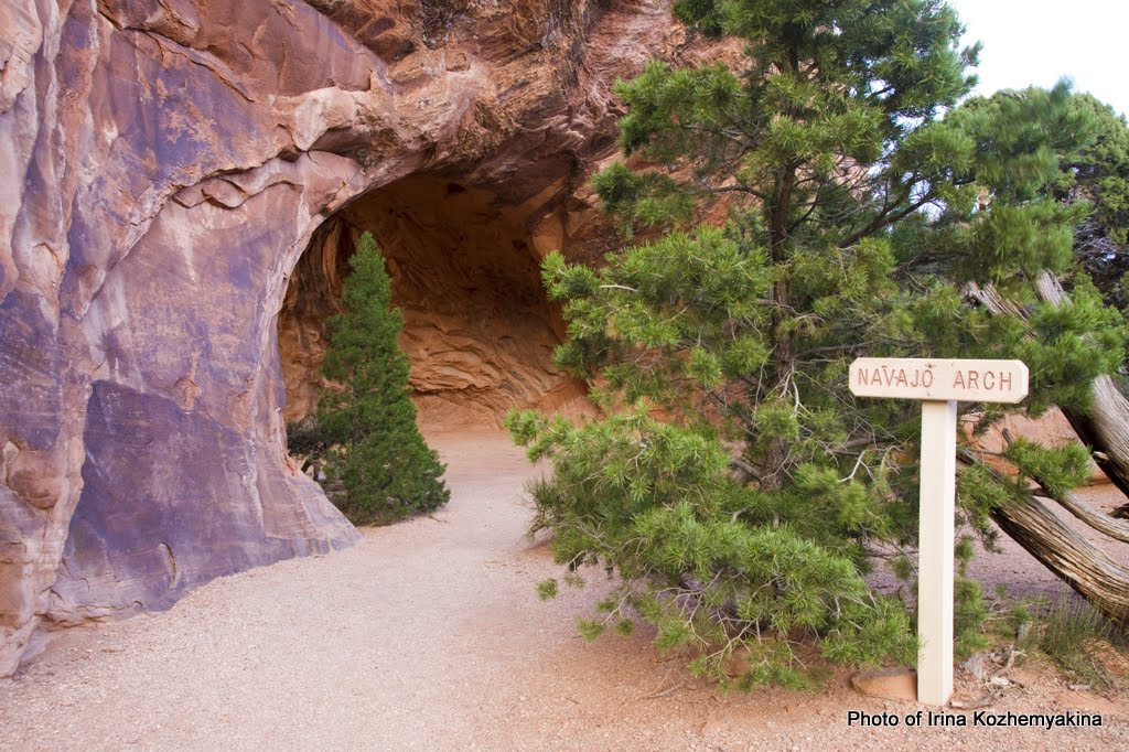 2010-11-21, Arches National Park. Photographer Irina Kozhemyakina. Houston
