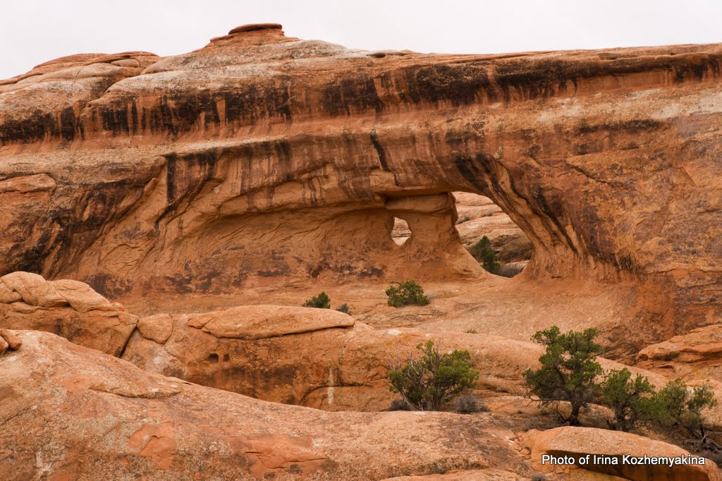 2010-11-21, Arches National Park. Photographer Irina Kozhemyakina. Houston