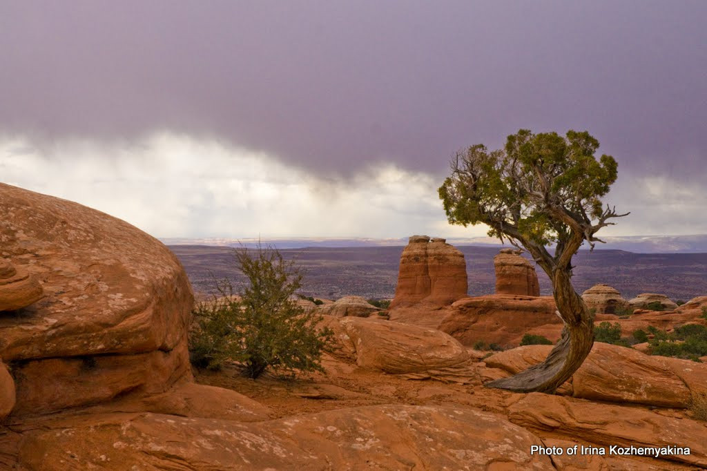 2010-11-21, Arches National Park. Photographer Irina Kozhemyakina. Houston